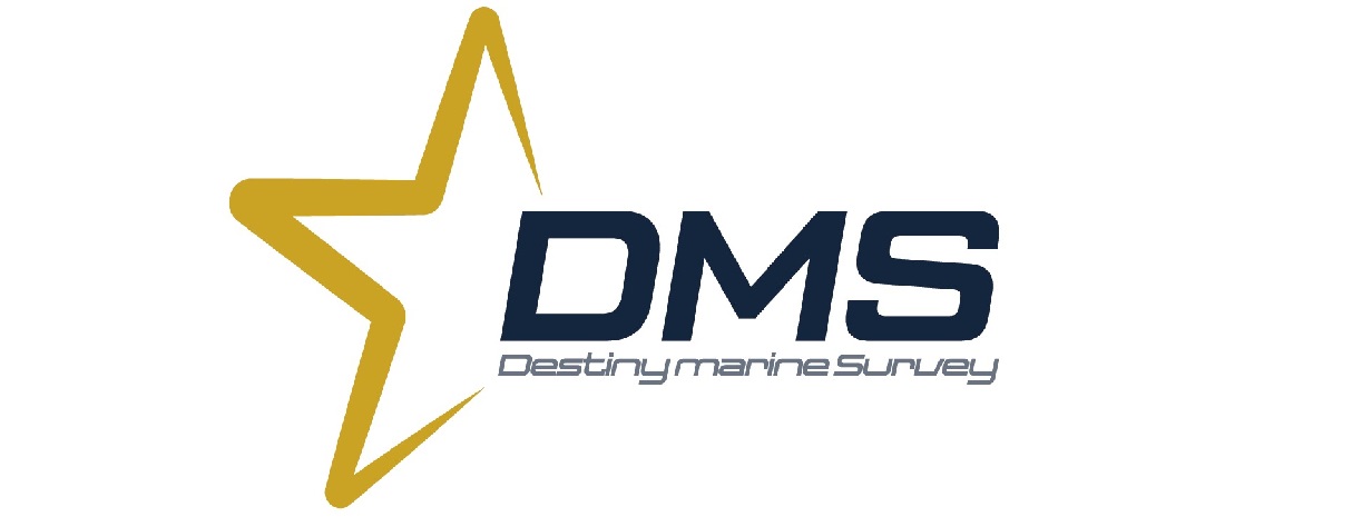 DMS Logo